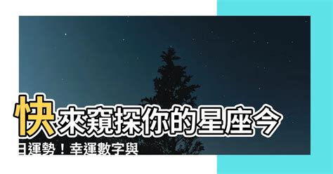 幸運數字組合|幸運數字查詢